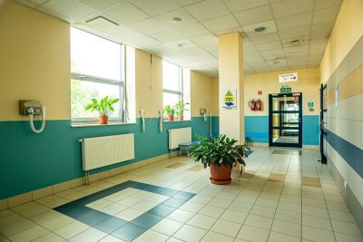Korytarz w budynku publicznym z oknami, roślinami, oznakowaniem i wyjściem ewakuacyjnym